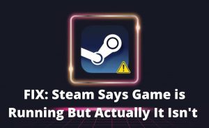 Steam Says Game Is Running