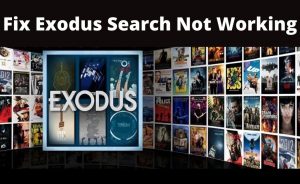 exodus search not working